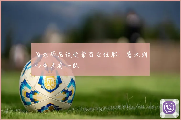 马尔蒂尼谈赴紫百合任职：意大利心中只有一队