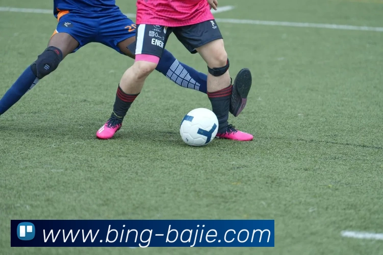 八戒体育平台生态图